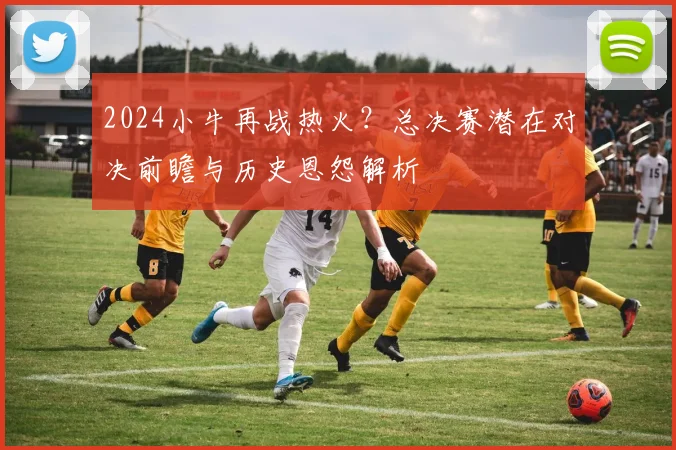 2024小牛再战热火？总决赛潜在对决前瞻与历史恩怨解析