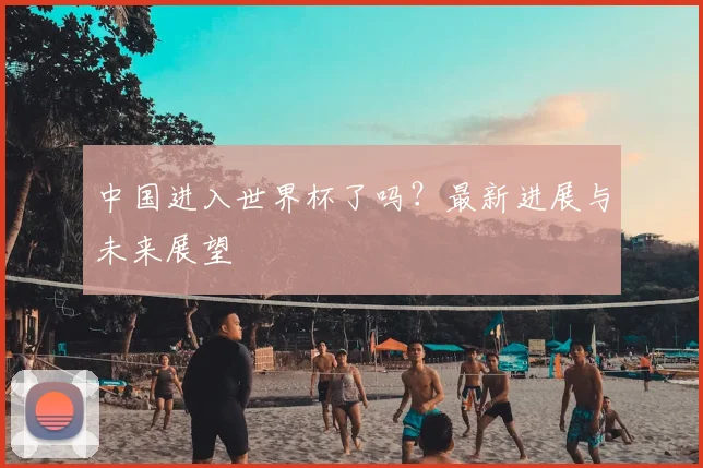 中国进入世界杯了吗？最新进展与未来展望
