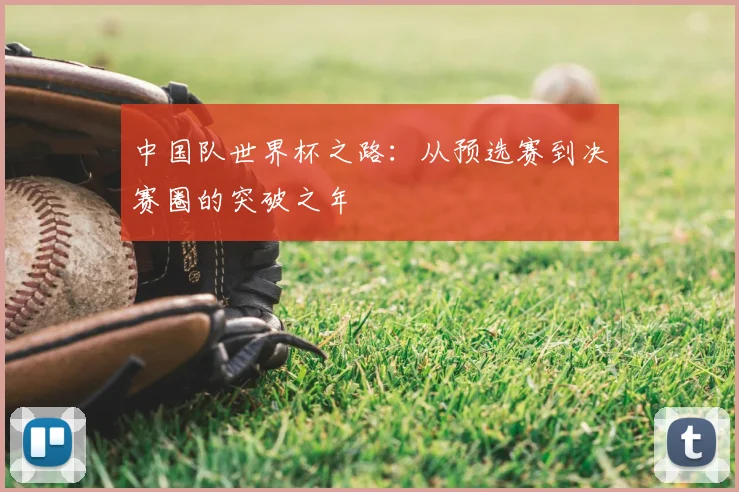 中国队世界杯之路：从预选赛到决赛圈的突破之年